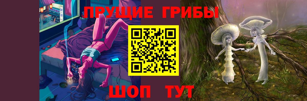 Галлюциногенные грибы Psilocybine cubensis  Вход с VPN  Каменка 