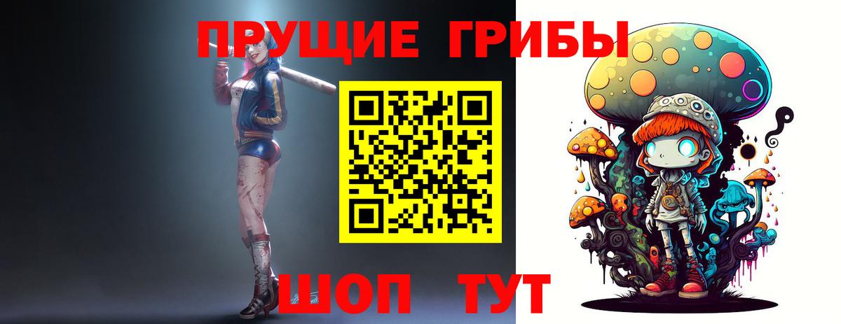 Галлюциногенные грибы Psilocybine cubensis Каменка