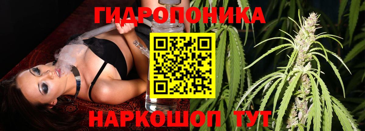 Каменка  Конопля семена  Конопля семена  Бошки марихуана семена  Вход с VPN 
